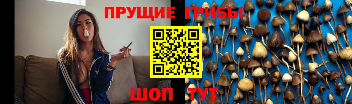 Галлюциногенные грибы Psilocybine cubensis  Вход с VPN  Шарыпово 